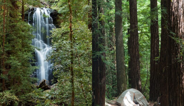 Photo of waterfall at Big Basin Redwoods