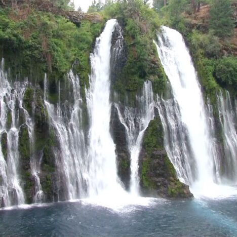 Big Basin Redwoods State Park